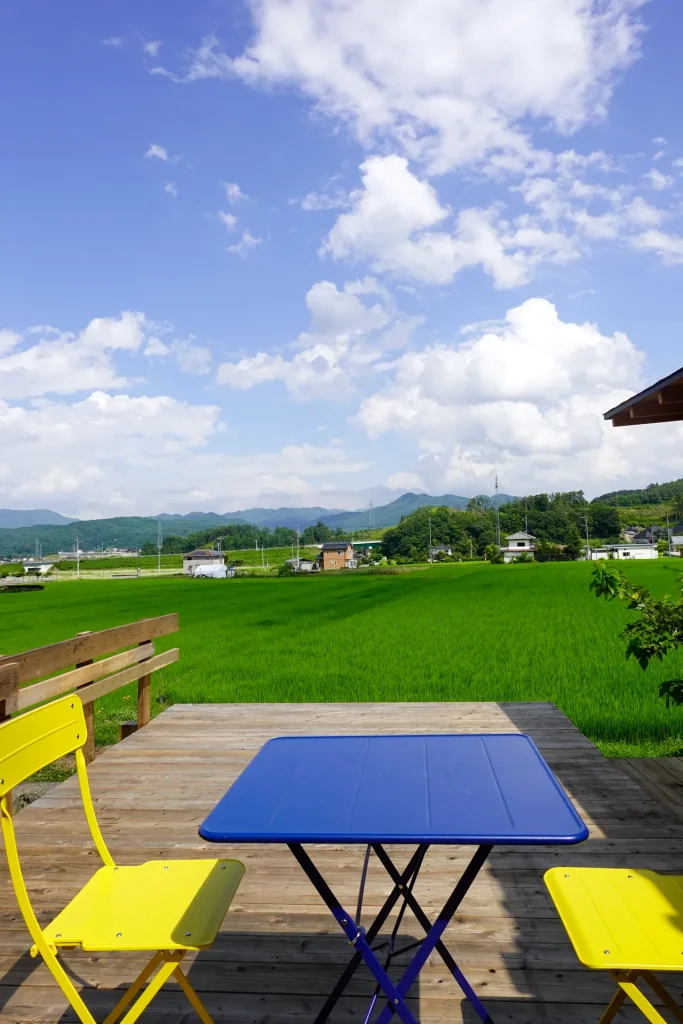 田んぼと空