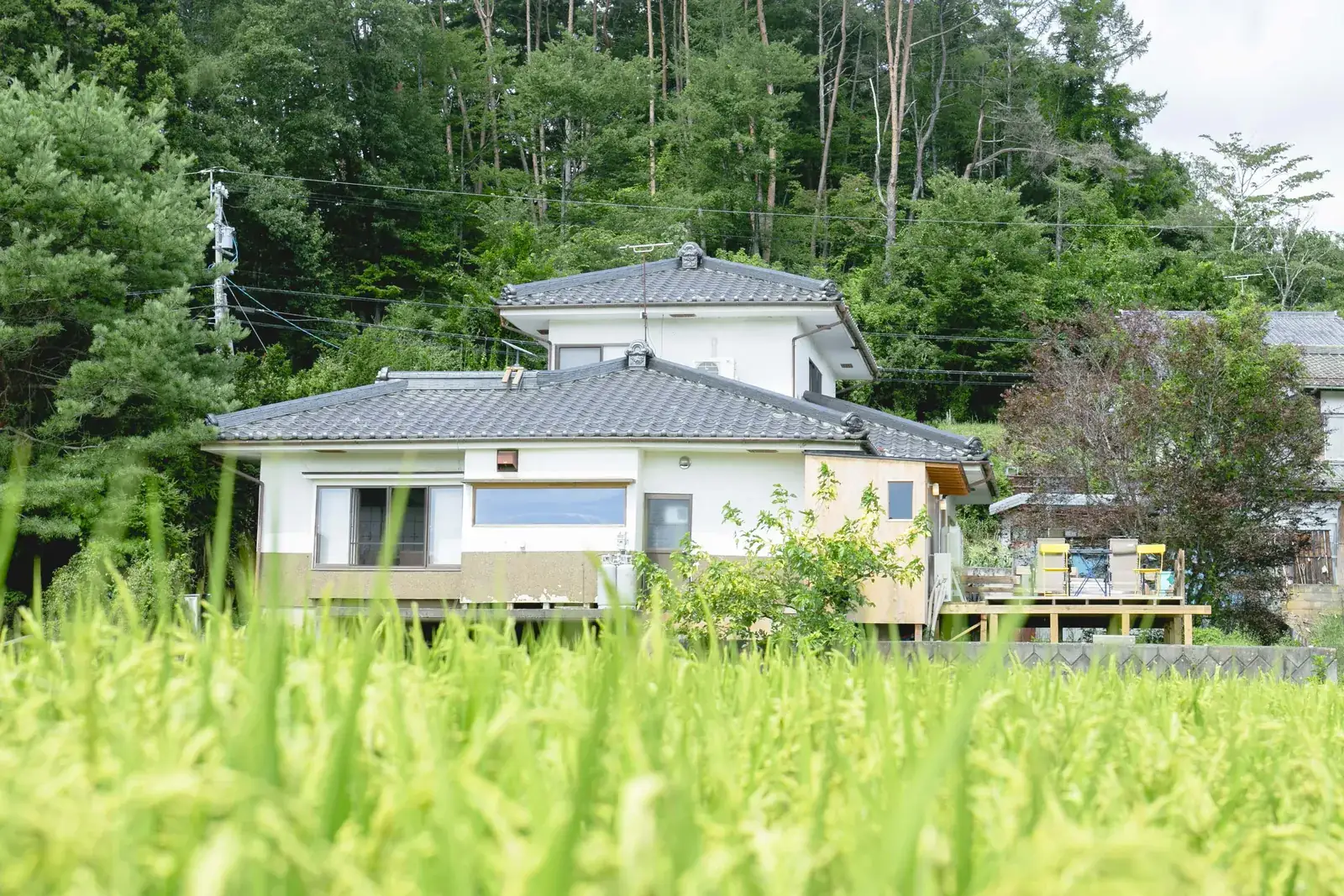 外観。田んぼの向こうに、家